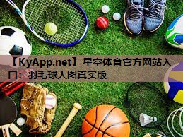 星空体育官方网站入口：羽毛球大图真实版