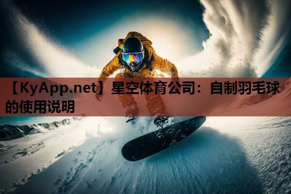 星空体育公司：自制羽毛球的使用说明