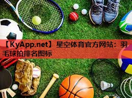 星空体育官方网站：羽毛球拍排名图标