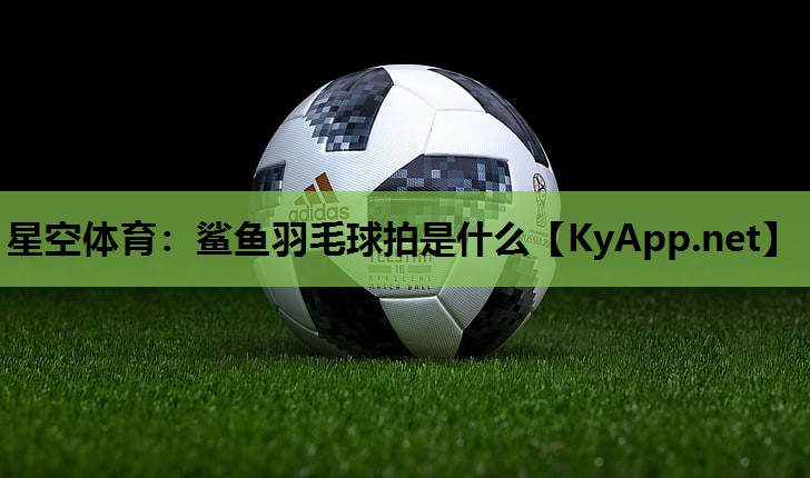 鲨鱼羽毛球拍是什么 鲨鱼羽毛球拍是什么