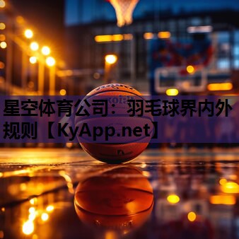 羽毛球界内外规则 羽毛球界内外规则