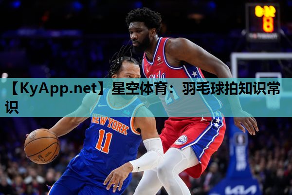 羽毛球拍知识常识 羽毛球拍知识常识