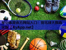 羽毛球大图真实版 羽毛球大图真实版