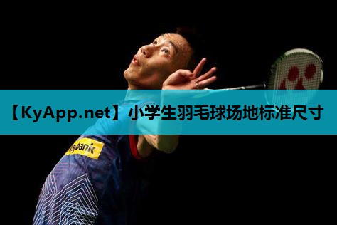 小学生羽毛球场地标准尺寸 小学生羽毛球场地标准尺寸
