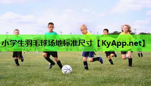 小学生羽毛球场地标准尺寸 小学生羽毛球场地标准尺寸