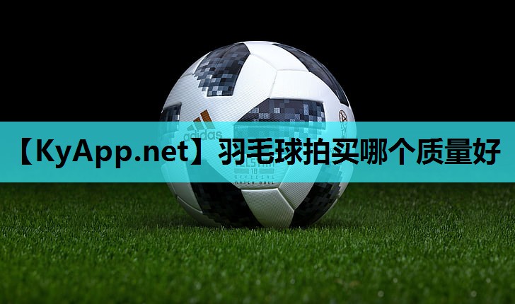 羽毛球拍买哪个质量好 羽毛球拍买哪个质量好