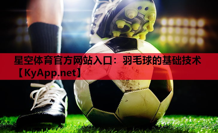 羽毛球的基础技术 羽毛球的基础技术