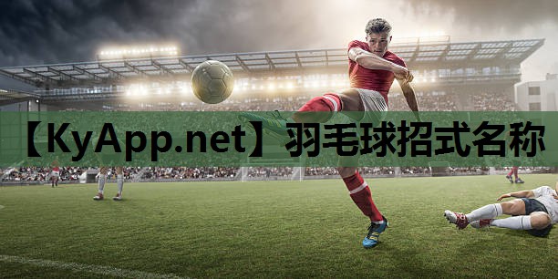 羽毛球招式名称 羽毛球招式名称