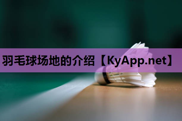 羽毛球场地的介绍 羽毛球场地的介绍