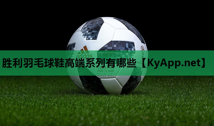 胜利羽毛球鞋高端系列有哪些 胜利羽毛球鞋高端系列有哪些